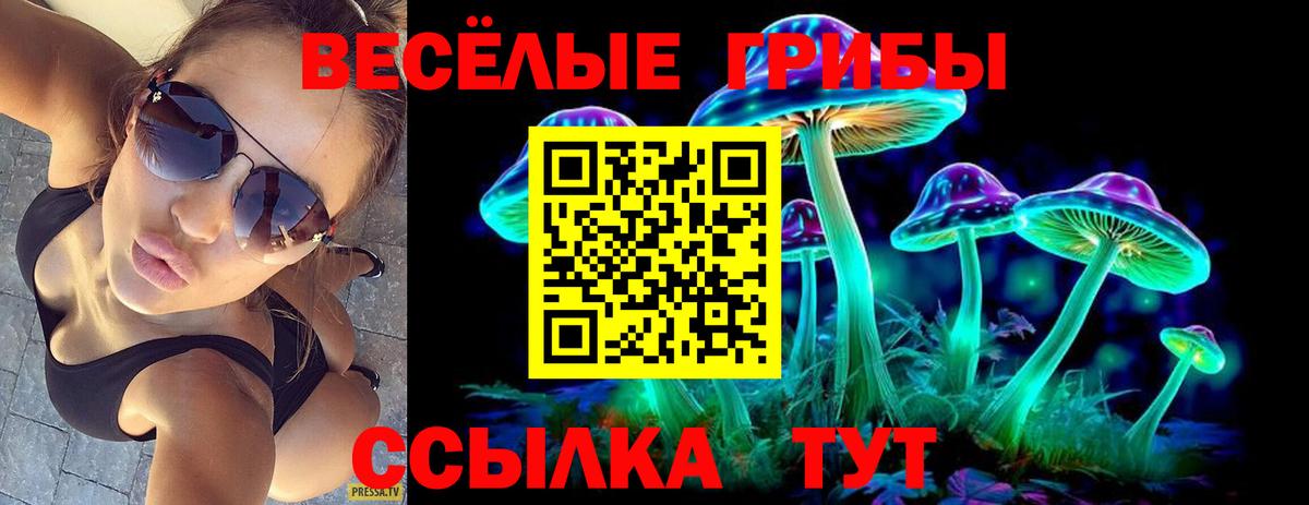 хочу   Вход с VPN  Набережные Челны  Псилоцибиновые грибы Cubensis 