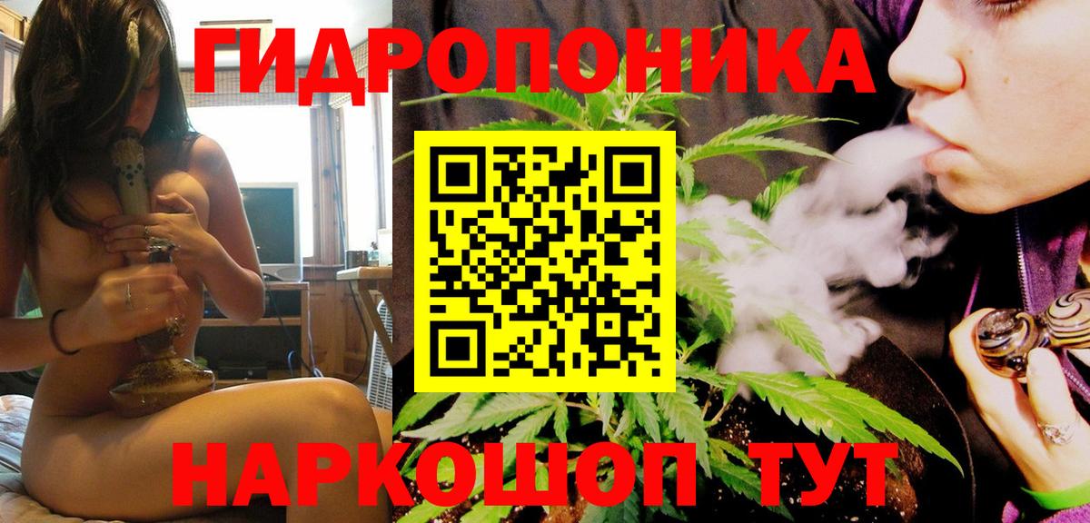 Бошки Шишки план Набережные Челны